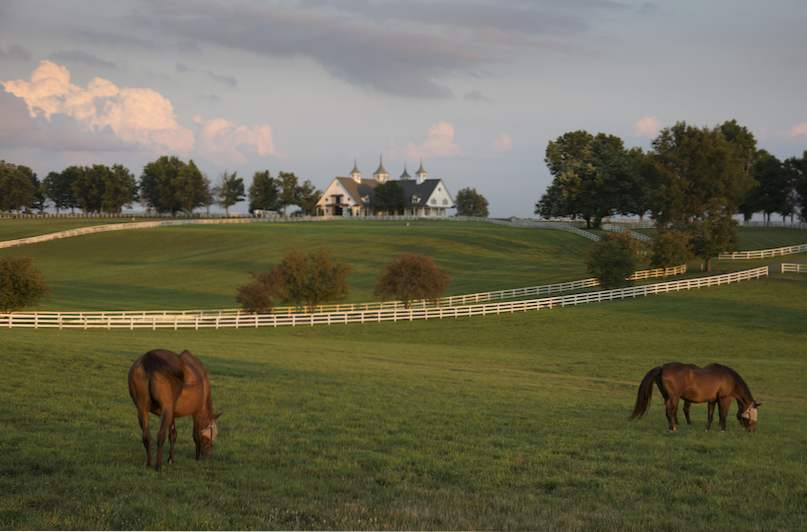 10 besten Orte in Kentucky zu besuchen / Vereinigte Staaten von Amerika