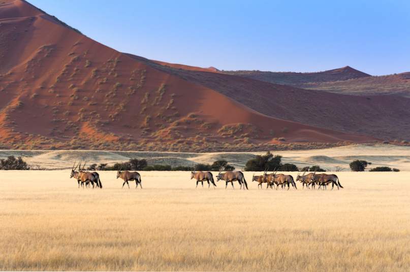 10 beste plaatsen om te bezoeken in Namibië / Afrika