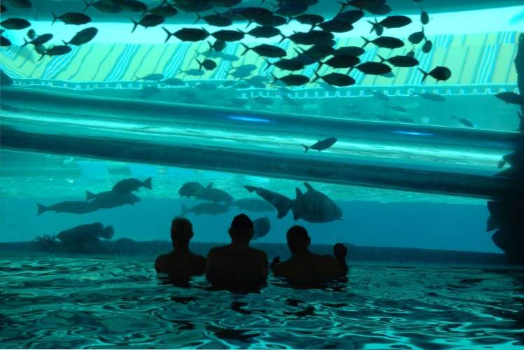 10 mest fantastiske svømmebassenger rundt om i verden / Fritid
