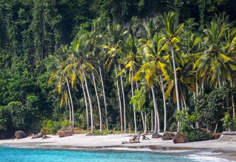 10 Mooiste eilanden in de buurt van Bali / Stranden en eilanden