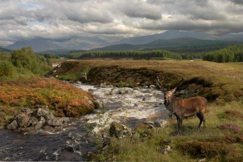 10 vackraste nationalparker och reserver i Skottland / skottland