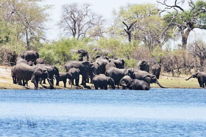 10 vakreste nasjonalparker i Namibia / Afrika