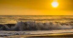 12 beste ting å gjøre i Flagler Beach, Florida (florida)