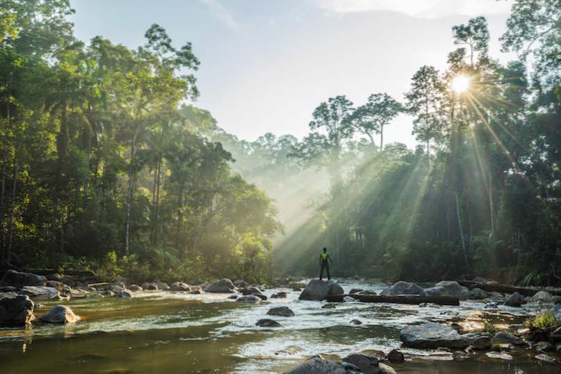 12 vackraste nationalparker i Malaysia / malaysia