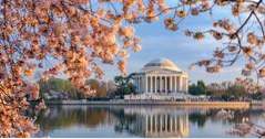 25 besten Aktivitäten in Washington, DC (Romantik)