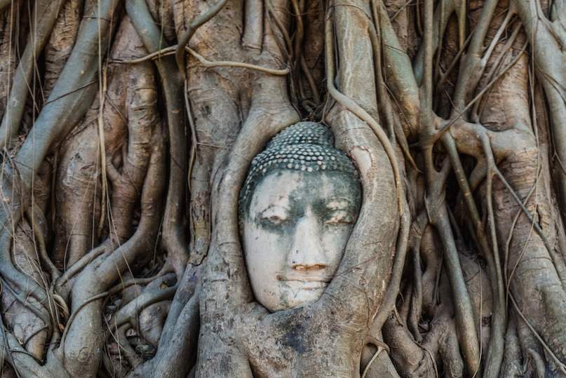 7 populairste Ayutthaya-attracties / Thailand