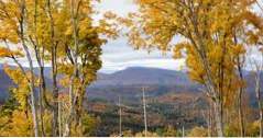 Catskills, NY 25 besten Dinge zu tun (Ideen)