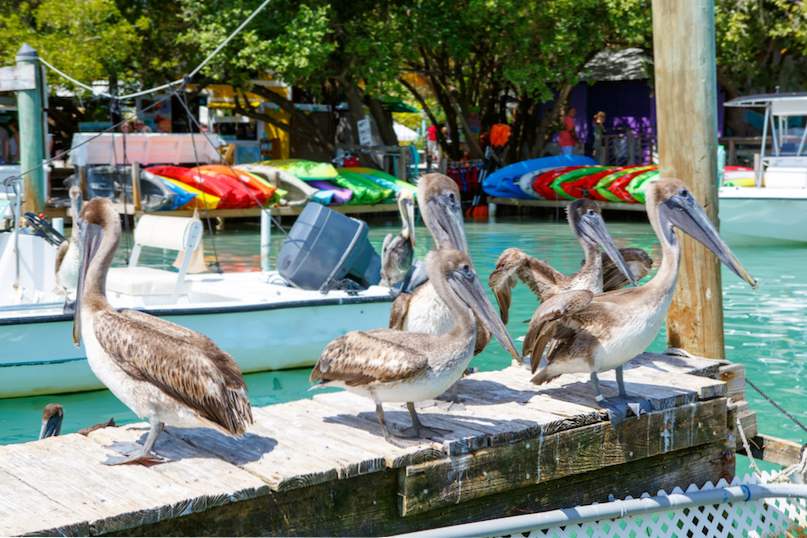 Var att bo i Florida Keys 6 bästa öarna / florida