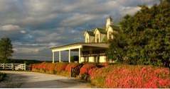 Bästa romantiska utflykter i South Carolina Red Horse Inn i Landrum (romantik)