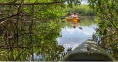 Kajakk Everglades (florida)