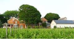 Shinn Estate Vineyard and Farmhouse, ein Wochenendausflug von NY (Romantik)