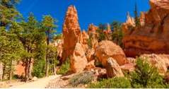 20 bästa Bryce Canyon vandringar (utah)