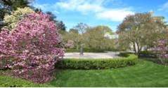 Brooklyn Botanisk hage (attraksjoner)