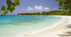 Caneel Bay in St. John (artikelen)