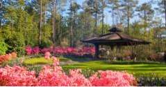 Romantiske utflukter i Georgia Callaway Gardens i Pine Mountain (ideer)