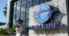 Sarasota, Florida Mote Meereslabor und Aquarium (Florida)