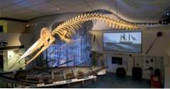 Nantucket Whaling Museum, Massachusetts (massachusetts)
