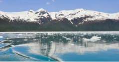 Dingen om te doen in Alaska Kenai Fjords National Park (avontuur)