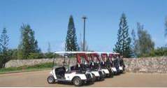 Top Maui Golf Urlaubsideen (Golf)