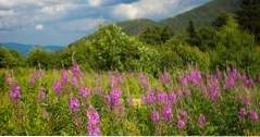 20 schönsten Berge in New Hampshire (New Hampshire Urlaub)