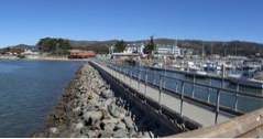 Half Moon Bay Fishing (california)