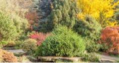 Portland japanischer Garten in Portland, Oregon (Sehenswürdigkeiten)