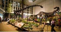 Aktivitäten in Pittsburgh Carnegie Museum für Naturgeschichte (Ideen)