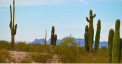9 besten Aktivitäten in Queen Creek, Arizona (Arizona)