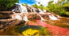 Fantastiska naturunderverk av världens Cano Cristales flod av fem färger (äventyr)