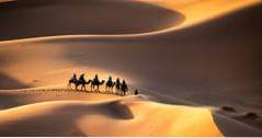 Fantastiska naturliga underverk av världs-Sahara-öknen (äventyr)