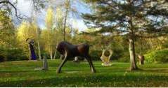 Bästa saker att göra i Stowe, Vermont West Branch Gallery and Sculpture Garden (vermont)