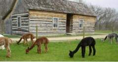 Galena Log Cabin Getaway i Illinois (äventyr)