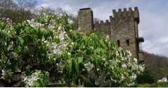 Loveland Castle and Museum, Ohio (attraksjoner)