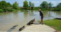 Saker att göra i Alabama Alligator Alley (alabama)