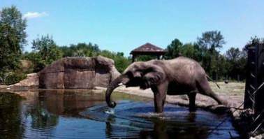 Freizeitangebote In Florida Jacksonville Zoo Und Garten Florida