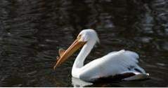 Dingen om te doen in Kentucky Louisville Zoological Gardens (attracties)