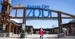 Dinge zu tun in Missouri Kansas City Zoo (Ideen)
