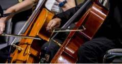 Aktivitäten in Norfolk Virginia Symphony Orchestra (Dinge in meiner Nähe zu tun)
