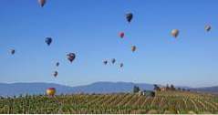 25 Leuke dingen om te doen in Temecula, CA (Californië)