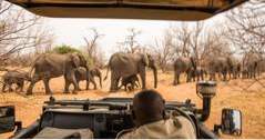 African Safari Kosten (Tipps)