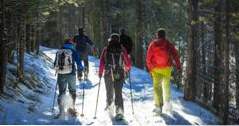 Beste ting å gjøre i Jackson Hole, Jackson Hole Eco Tour Adventures (eventyr)