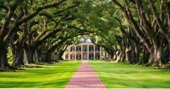 Beste ting å gjøre i Louisiana Oak Alley Plantation (louisiana)