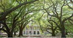 Beste dingen om te doen in Louisiana Whitney Plantation (Louisiana)