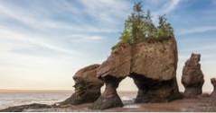 Kanada Sevärdheter Hopewell Rocks (kanada)