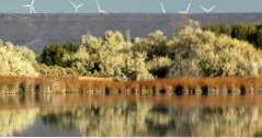 Hagerman Fossil Beds National Monument (idaho ferier)