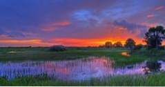 Orte zu besuchen in Florida Everglades National Park (Florida)