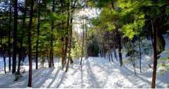 Platser att besöka i New Hampshire Loon Mountain (ny hampshire semester)