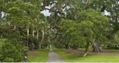 Aktivitäten in South Carolina Brookgreen Gardens (Sehenswürdigkeiten)