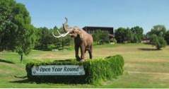 Aktivitäten in South Dakota Mammoth Site (Dinge in meiner Nähe zu tun)