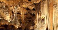 Aktivitäten in Springfield, Missouri Fantastische Höhlen (Sehenswürdigkeiten)